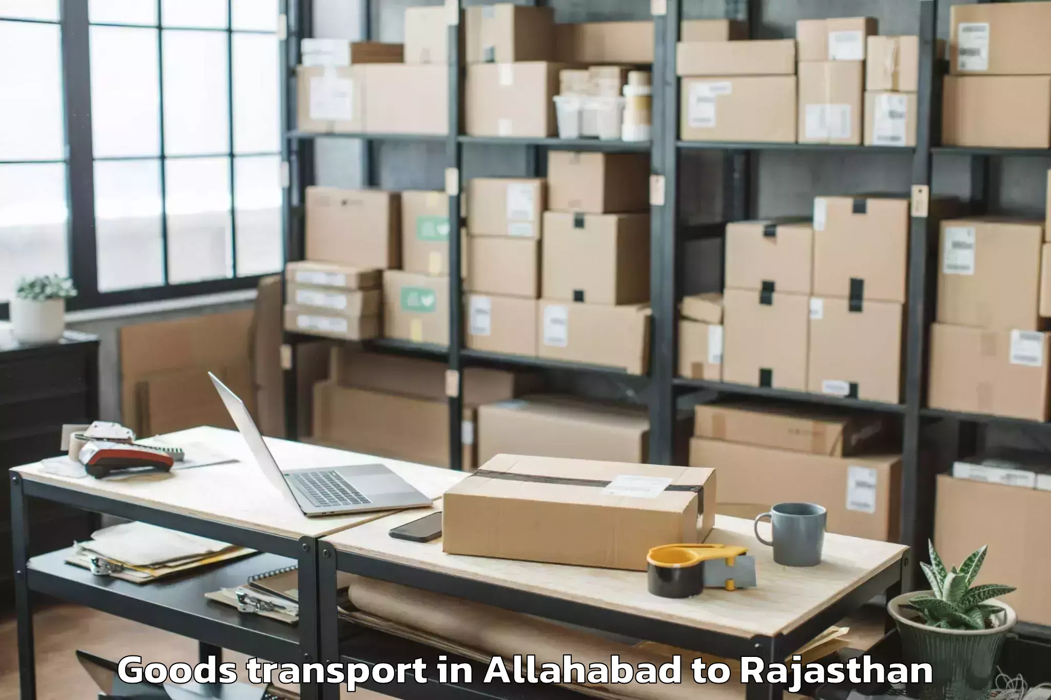 Professional Allahabad to Nadbai Goods Transport